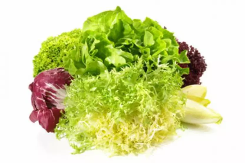 Salat und Sprossen