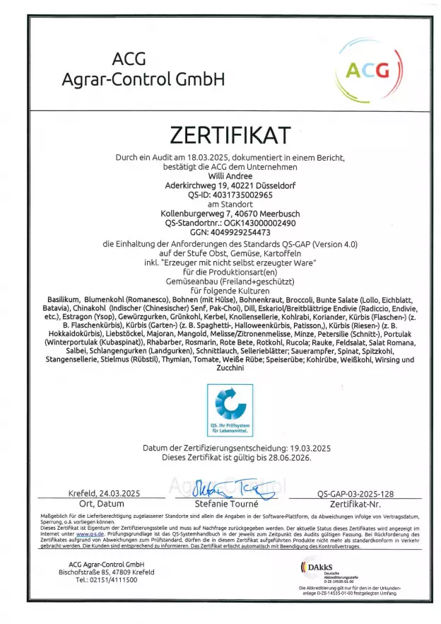 Zertifikat 26
